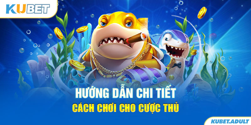 Hướng dẫn chi tiết cách chơi cho cược thủ