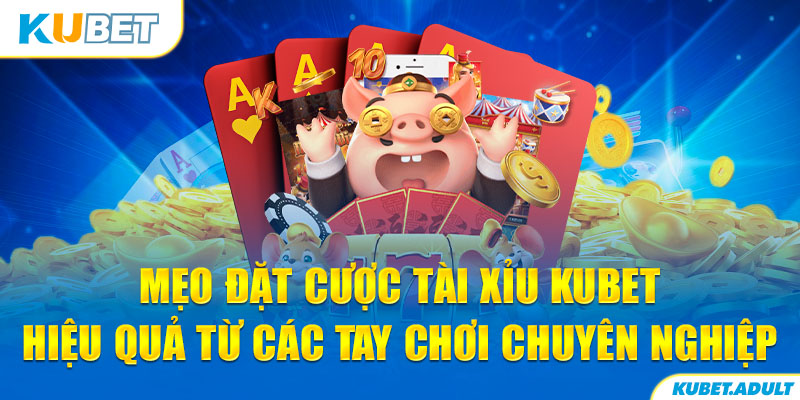 Mẹo đặt cược Tài Xỉu kubet hiệu quả từ các tay chơi chuyên nghiệp